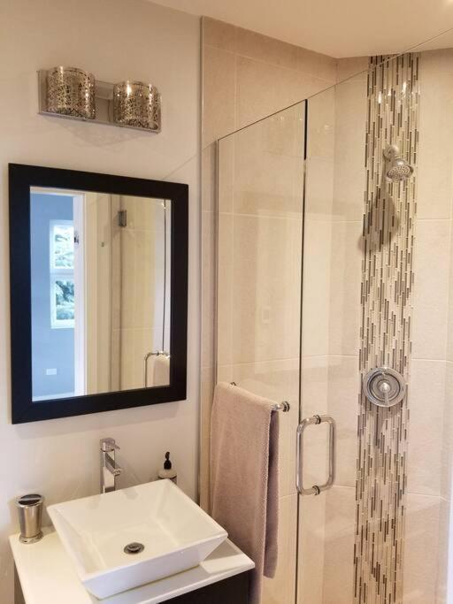Appartamento And Cozy. Sleeps 5. Chicago